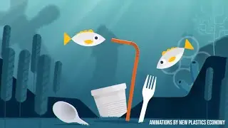 Plastic consequences on Whales and Dolphins? | WHALEZONE.TV S1E2