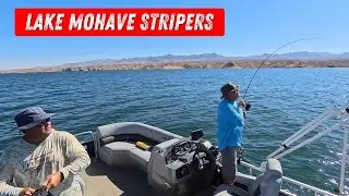 Chasing Stripers Day & Night on Lake Mohave