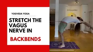 Vagus Nerve Reset: How Backbends Calm the Nervous System | Yogveda