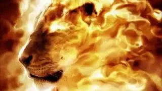 Mondo Tabernacle. L'onction du lion .