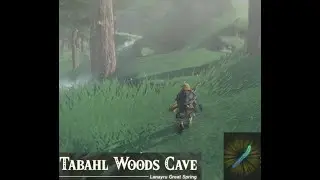 Tabahl Woods Cave: Legend of Zelda Tears of The Kingdom