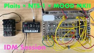 Plaits &times; NTS-1 &times; MOOD MKII IDM Session | Mindset 2025-11-29 by atnr