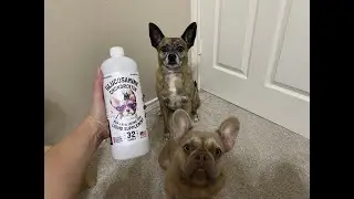 What I noticed about this liquid glucosamine for dogs