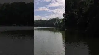 Amazing View of Dandeniya Lake, Matara, Sri Lanka 😍 #lake #nature #srilanka