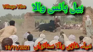 Bull Race 423 Besakhi Mela BaiL Hans Wala Maalik Malik Mushtaq Hans 18/11/2021 Mela Ghazi Wala New