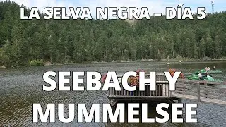 Seebach y Mummelsee | Selva Negra (Alemania) – Día 5