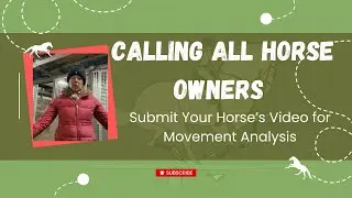 Horse Movement Analysis: Submit Your Horse's Video for Personalized Feedback