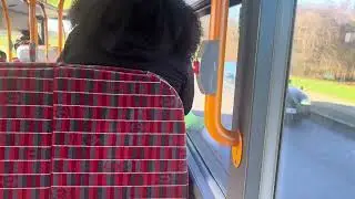 *REFURBISHED* Journey on SLN 12382 YX16OGW on bus route 53