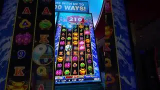 Stack Up Pays Mega small bet good profit