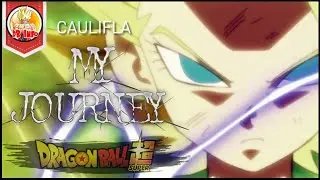 Путешествие Каулифлы! Источник мемов в Турнире Силы DBS. [Обзор DBS]