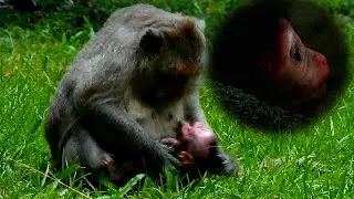 Very Broken heart seeing Jade tutoring baby Jinx, Pity baby Jinx much pain full falling tears down