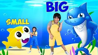 Baby Shark Opposites Song | Small and Big - Learn Opposites! | Billion Kiddo