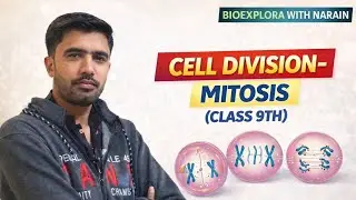 Cell Division – Mitosis Explained | MDCAT| NEET| Class 9 & 10 Biology