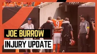 Massive Burrow Update - Doctor Explains