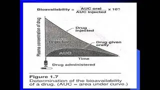 Bioavailability