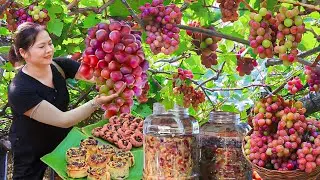 Harvesting Fresh Grapes From Farm To Sell, Cooking Delicious Meals At Home | Peaceful Rural Life