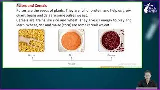 Ch 4 | Sangam Group of Publication | Science | Class 01| Plant Give Us Food | For children