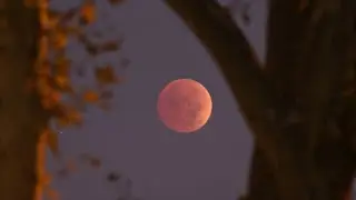 Blood Moon Eclipse: See the Most Incredible Photos From Around the World