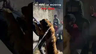 Fun-Game 🤣😅🤣🐾🐶#dog #trending #doglover #pluto #minivlog #viralvideo #shorts