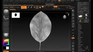 Leaf Turntable