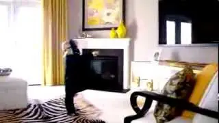 Van Metre Homes - 55+ Active Adult Community In Northern Virginia