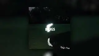 Marcus & pitfall - Bugs
