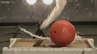 Media Pembelajaran UNESA