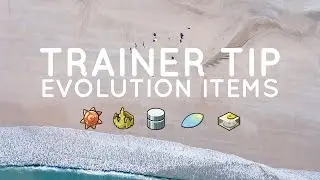 Pokemon Go   Evolution Items Explained