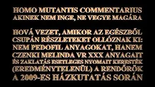 I. HOMO MUTANTIS COMMENTARIUS: AKINEK NEM INGE  II. F&Eacute;LRE&Eacute;RT&Eacute;S A 2009-ES H&Aacute;ZKUTAT&Aacute;S C&Eacute;LJ&Aacute;T ILLETŐEN