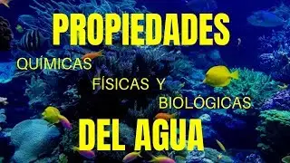 EL AGUA: características químicas, físicas y biológicas