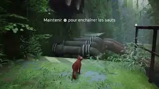 [Replay Twitch] Stream in The Dark - 03 - Stray