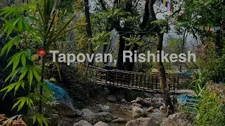 Camping in Tapovan Rishikesh | Journey to the Secret Waterfall | A Hidden Paradise in Rishikesh