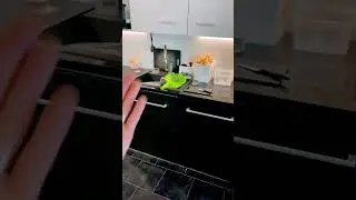 Clean it up / before & after #shorts #cleaning #beforeandafter #clen #kitchen