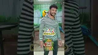 𝗖𝗼𝗹𝗼𝗿𝘀, 𝗖𝘂𝘁𝗲𝗻𝗲𝘀𝘀, 𝗞𝗼𝗼𝗸𝘆𝗹𝗮𝗻𝗱