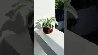 DIY flower pot 🪴 made from fuzzy wire 🪴#diy #craft #fuzzywire