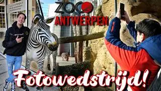 FOTOCHALLENGE in ANTWERPEN ZOO! 📸