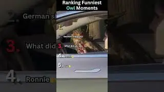 Ranking Funniest Owl Moments... Subscribe please