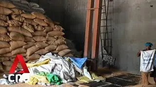 India may import wheat as record-breaking heatwaves threaten grain output