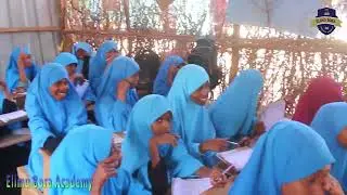 Data Handling: Collecting & Representing Information | Grade 4 Maths Lesson by Teacher Alfred Makona