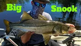 Snook Fishing with Swimbaits