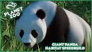 Giant Panda Habitat Speed Build!!! Planet Zoo Speed Build