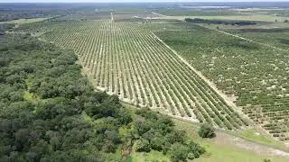 143+-Acres Prime Citrus CreekView Devel.UpsidePotential!