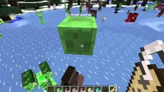 Minecraft 1.6 - Upside Down Dinnerbone Mobs