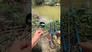 &ldquo;Countryside Fishing Life Simple Rural Day by the Water&rdquo; 🎣