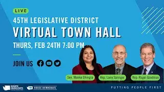 45th District Virtual Town Hall