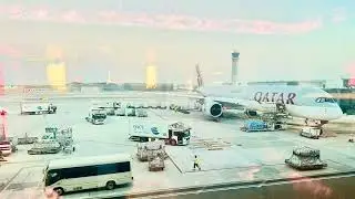 The beauty of Hamad International AirPort,Doha, Qatar #hamadinternationalairport #aesthetics #qatar 