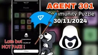 Agent 301 - 30/11/2024 Puzzle today | Community Puzzle Agent 301 solved
