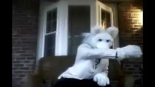Fashion Furries with DifFURently