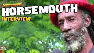 Leroy 'Horsemouth' Wallace - Interview @ SummerJam 2016