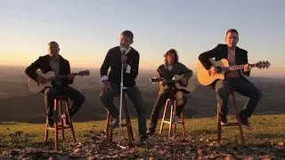 Folhas ao vento - SimNow